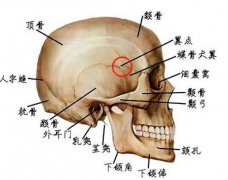 人體“死穴”太陽穴疼痛的原因及緩解方法有哪些？太陽穴不可擊打