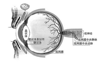 晶體脫位示意圖