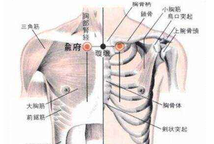 俞府穴示意圖