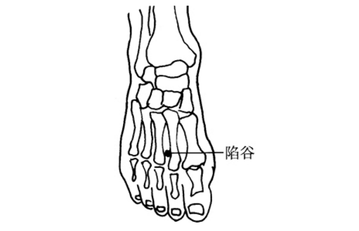 陷谷穴的功效與作用