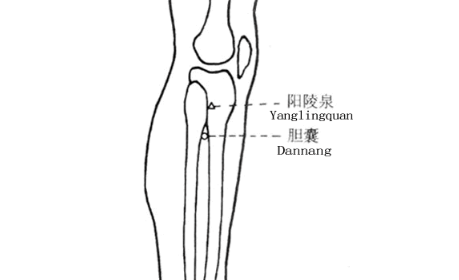 膽囊穴的按摩方法
