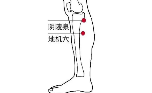 地機穴能治療糖尿病？