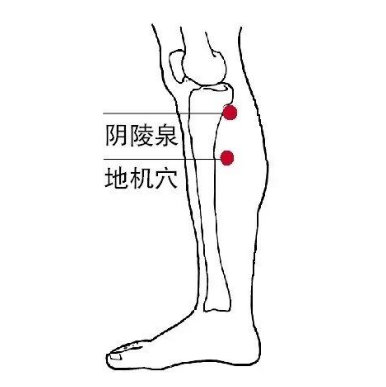 地機穴能治療糖尿病？它
