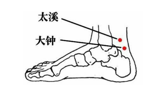 太溪穴的功效與作用