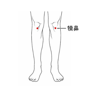 犢鼻穴的準確位置及其按
