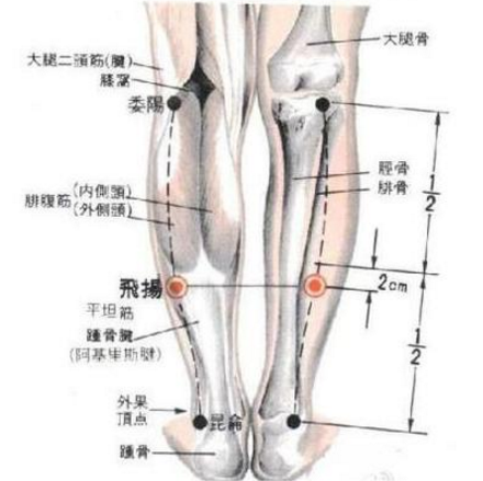 飛揚穴可治療關節疼痛？它的具體位置及其功效與作用有哪些？