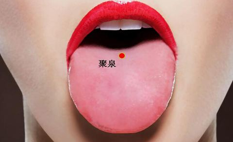 聚泉穴的位置