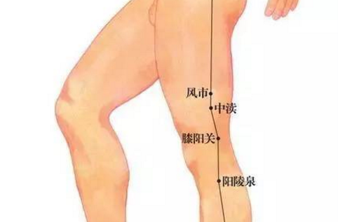 風市穴主治疾病