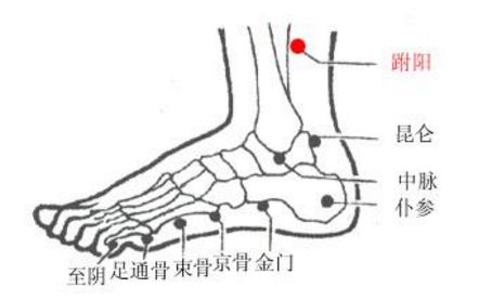 跗陽穴疼痛怎么回事