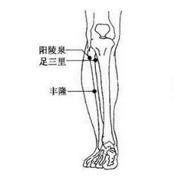 如何定位陽(yáng)陵泉穴？其準(zhǔn)確位置及按摩的功效與作用有哪些？