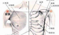 電針刺激肩髃穴治療肩周炎的方法及其肩髃穴的準確位置圖！