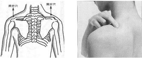肩井穴示意圖