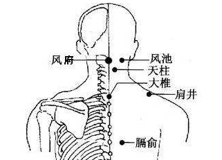 肩井穴圖片