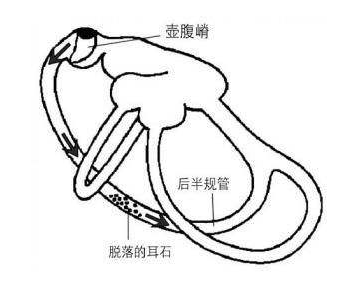 迷路震蕩