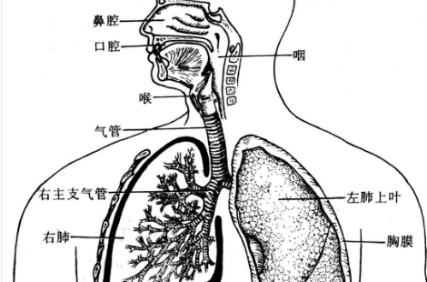 多系統器官功能衰竭的癥狀表現