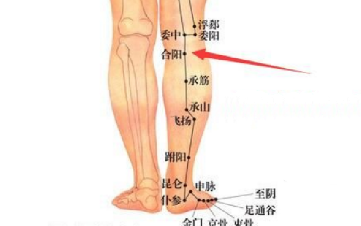 合陽穴的位置