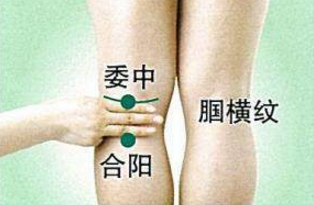 合陽穴的功效與作用