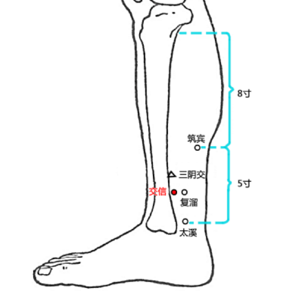交信穴可益腎調(diào)經(jīng)，其準(zhǔn)確位置及功效與作用有哪些？