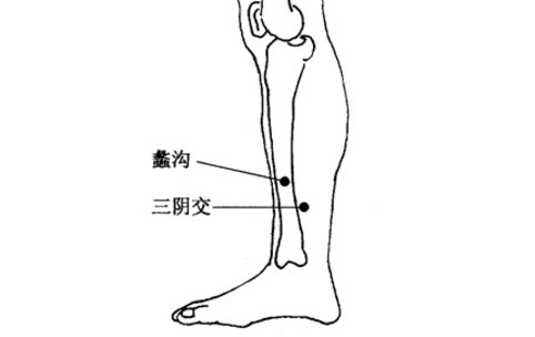 蠡溝穴位置