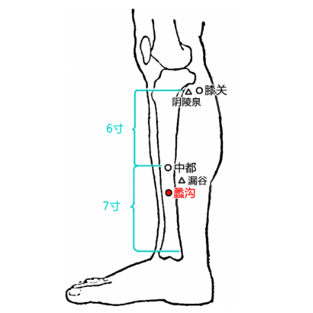 蠡溝穴的準確位置及按摩蠡溝穴的功效與作用有哪些？