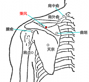 秉風穴位位置