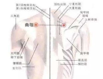 曲垣穴示意圖