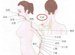 巨骨穴疼痛怎么回事呢？巨骨穴準(zhǔn)確位置示意圖