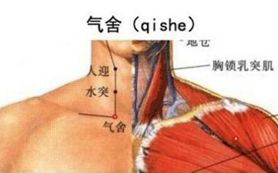 氣舍穴準確位置