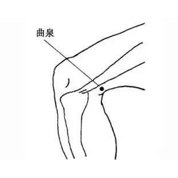 按摩曲泉穴可治肝腎陰虛，它的準(zhǔn)確位置及其功效與作用有哪些？