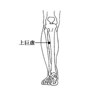 上巨虛穴疼痛是怎么回事？它的準(zhǔn)確位置及其功效與作用有哪些？