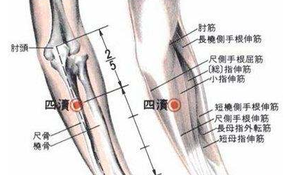 四瀆穴主治疾病