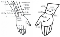 中醫(yī)教你按摩會宗穴治療耳鳴，但你知道會宗穴的準(zhǔn)確位置嗎？