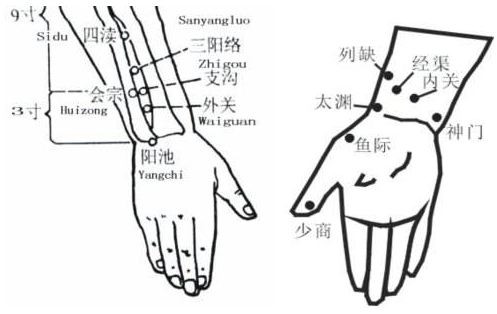 會宗穴圖片