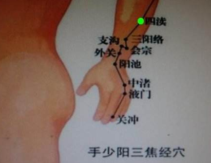 會宗穴的功效與作用