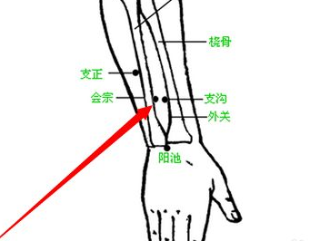 會宗穴的示意圖