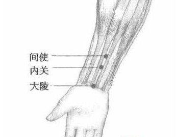間使穴的功效與作用