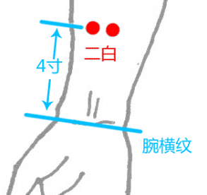 二白穴的功效與作用