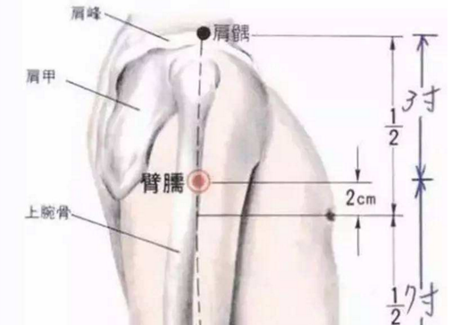 臑會穴主治疾病