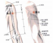 刺激臑會穴可以治療空調肩，但你知道臑會穴的準確位置嗎？