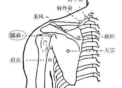 臑會穴的功效與作用