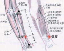 中醫教你巧用偏歷穴治療齲齒牙痛，偏歷穴怎么找？