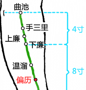 偏歷穴準(zhǔn)確位置