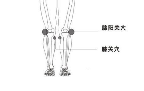膝關穴的位置