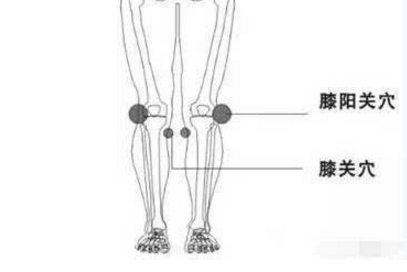 膝陽關穴圖片