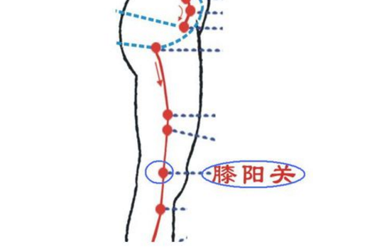 膝陽關穴位置