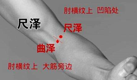 曲澤穴位位置