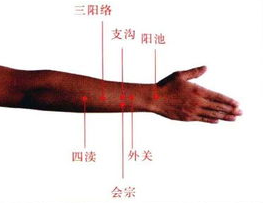 三陽絡位置