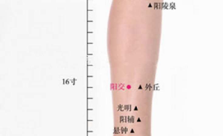 陽交穴主治疾病