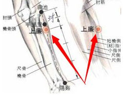 上廉穴的準確位置