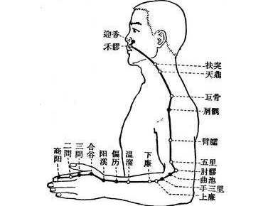 上廉穴位的功效與作用